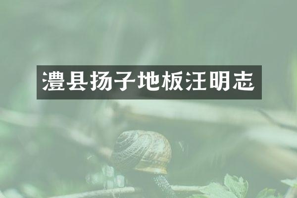 澧县扬子地板汪明志