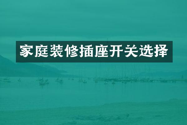 家庭装修插座开关选择