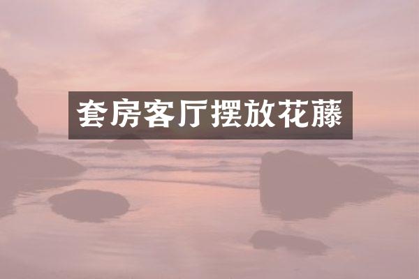 套房客厅摆放花藤