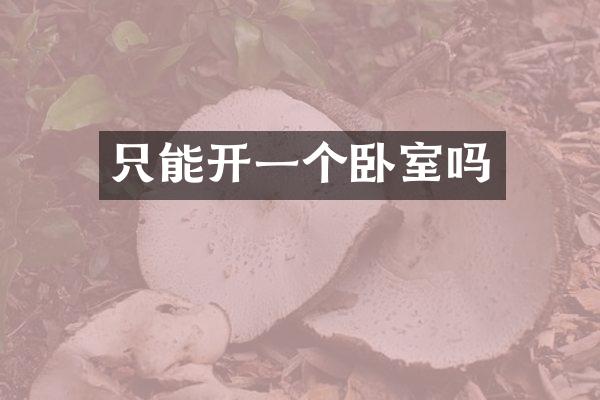只能开一个卧室吗
