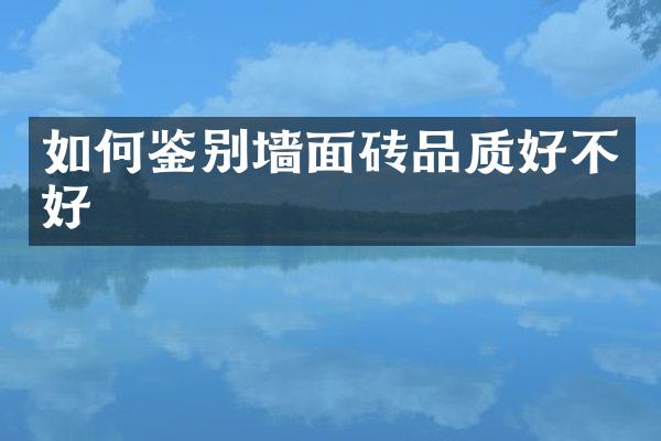 如何鉴别墙面砖品质好不好