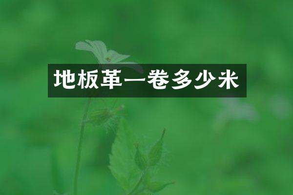 地板革一卷多少米