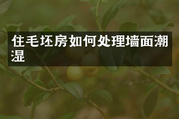 住毛坯房如何处理墙面潮湿