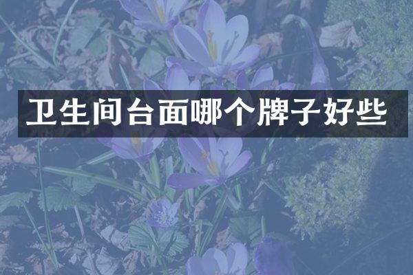 卫生间台面哪个牌子好些