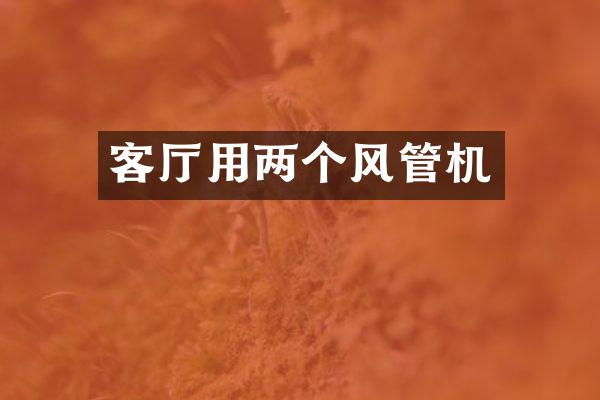 客厅用两个风管机