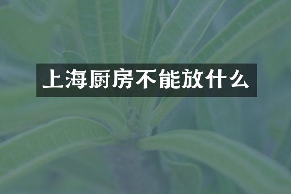 上海厨房不能放什么