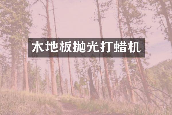 木地板抛光打蜡机