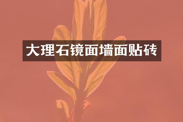 大理石镜面墙面贴砖