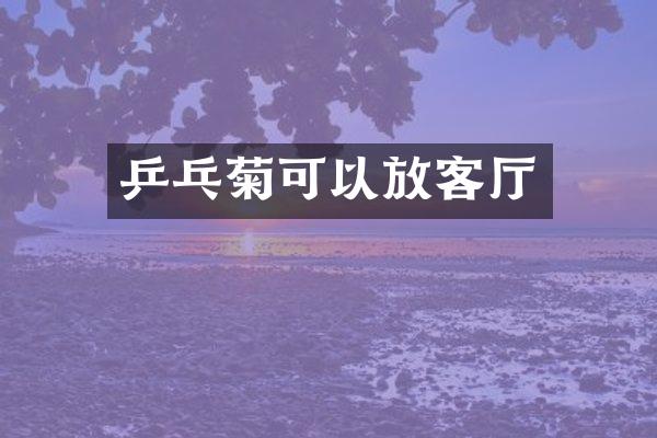 乒乓菊可以放客厅