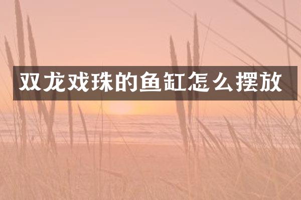 双龙戏珠的鱼缸怎么摆放