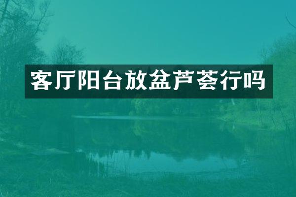 客厅阳台放盆芦荟行吗