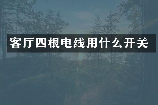 客厅四根电线用什么开关