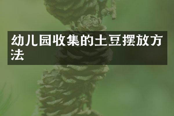 幼儿园收集的土豆摆放方法