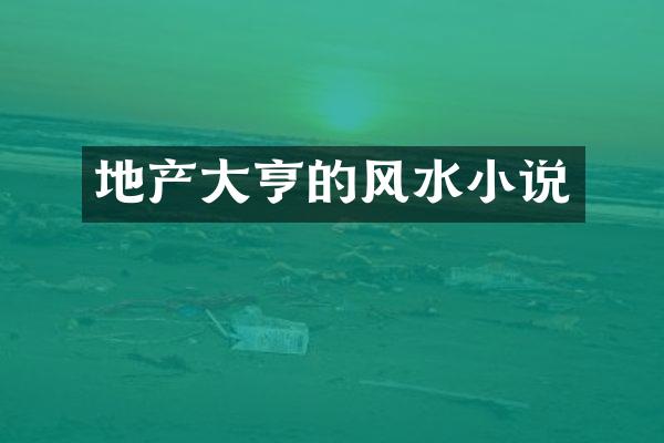 地产大亨的风水小说