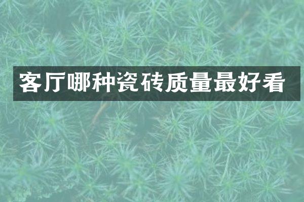 客厅哪种瓷砖质量最好看