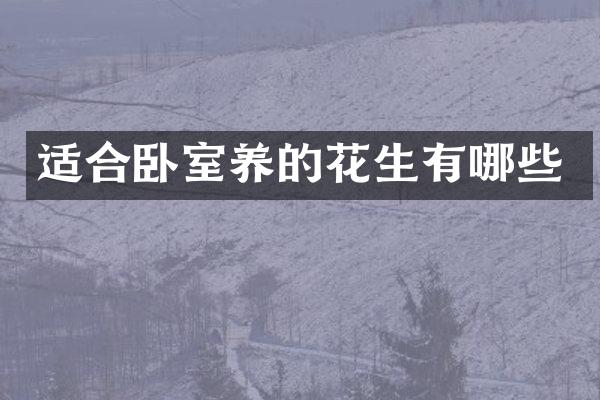 适合卧室养的花生有哪些