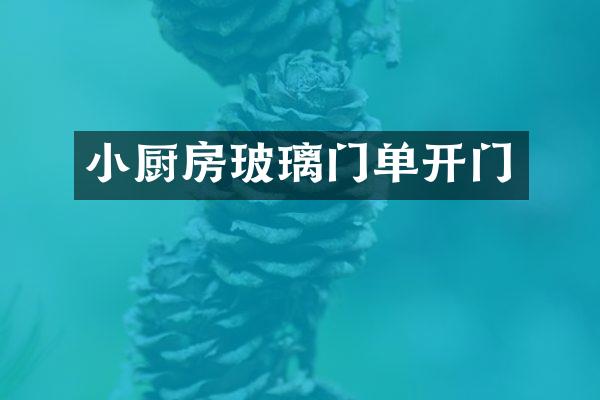 小厨房玻璃门单开门