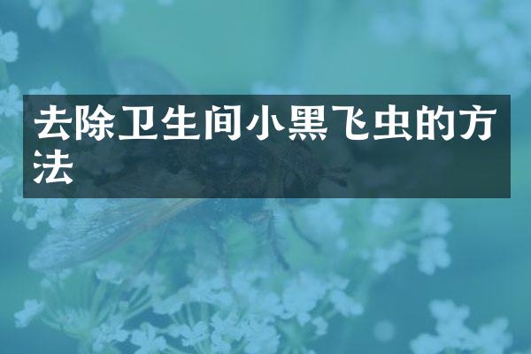 去除卫生间小黑飞虫的方法
