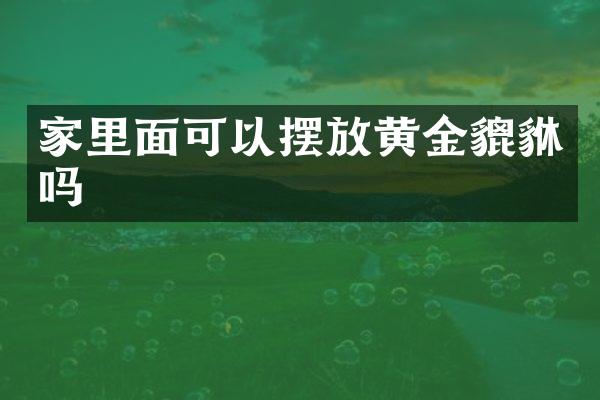 家里面可以摆放黄金貔貅吗