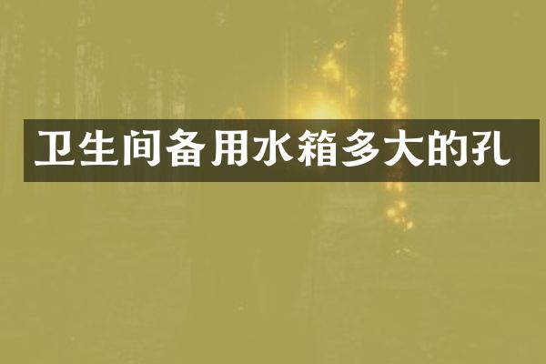 卫生间备用水箱多大的孔
