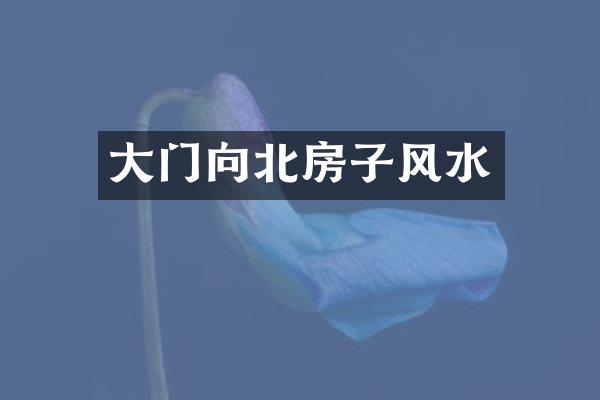 大门向北房子风水