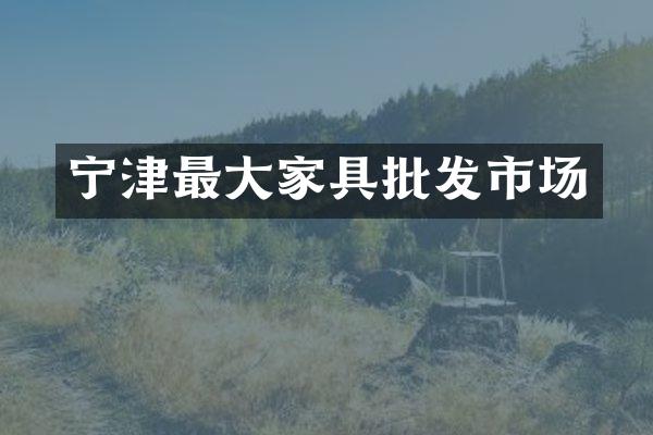 宁津最大家具批发市场