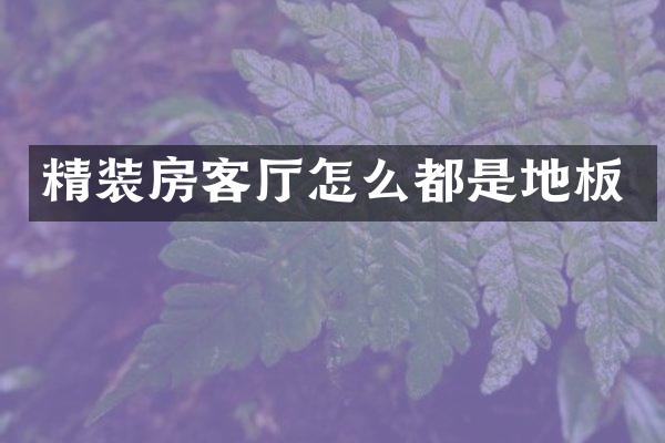 精装房客厅怎么都是地板