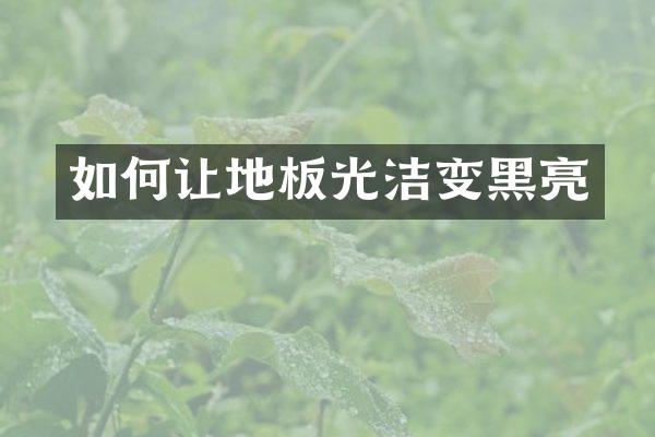 如何让地板光洁变黑亮