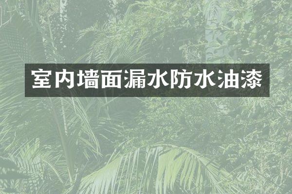 室内墙面漏水防水油漆