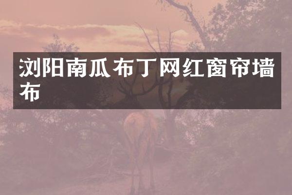 浏阳南瓜布丁网红窗帘墙布