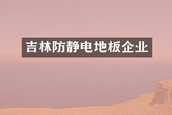 吉林防静电地板企业