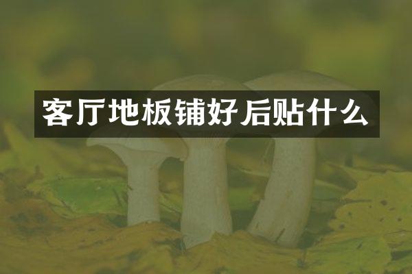 客厅地板铺好后贴什么
