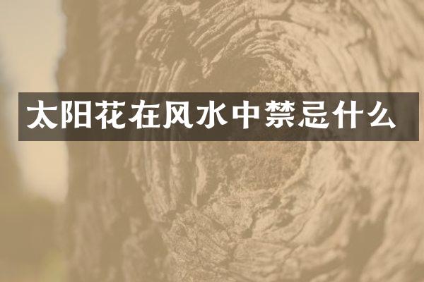 太阳花在风水中禁忌什么