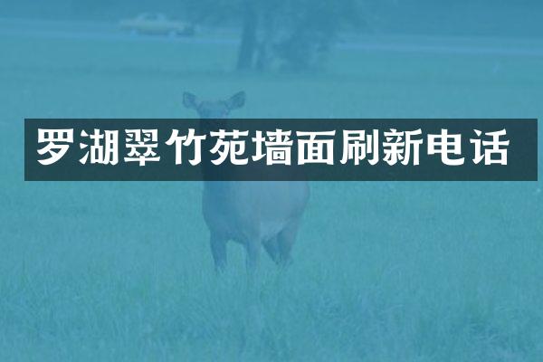 罗湖翠竹苑墙面刷新电话