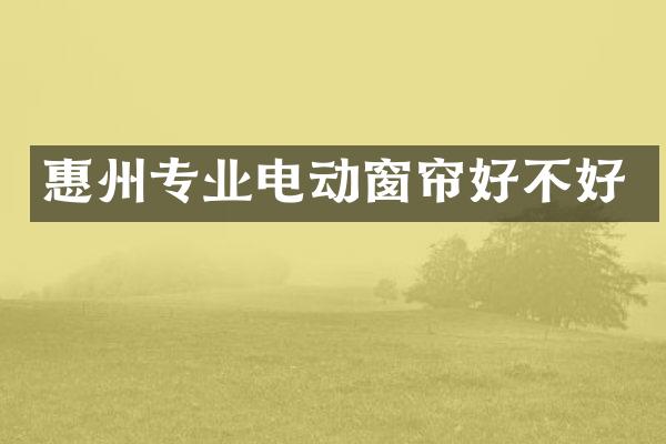 惠州专业电动窗帘好不好