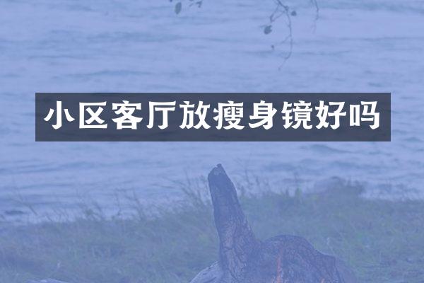 小区客厅放瘦身镜好吗
