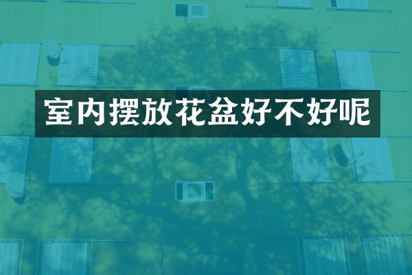 室内摆放花盆好不好呢