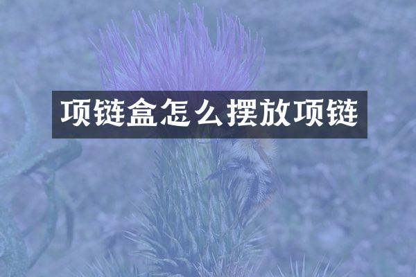 项链盒怎么摆放项链