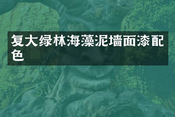 复大绿林海藻泥墙面漆配色