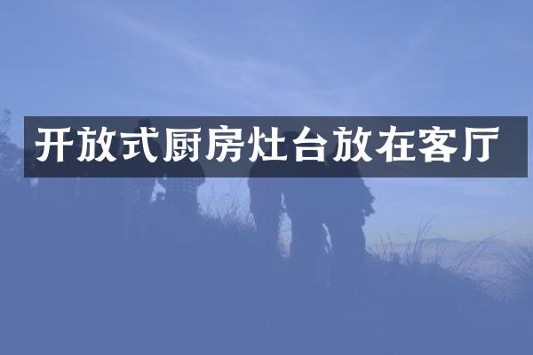 开放式厨房灶台放在客厅