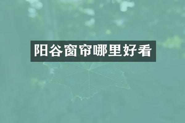 阳谷窗帘哪里好看