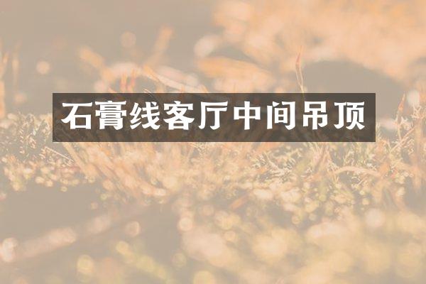 石膏线客厅中间吊顶