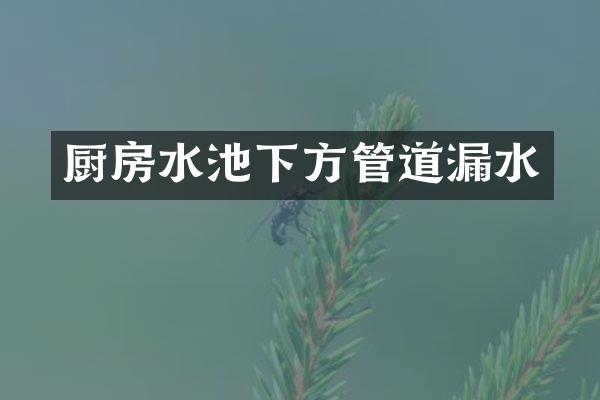 厨房水池下方管道漏水