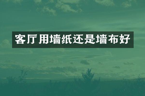 客厅用墙纸还是墙布好