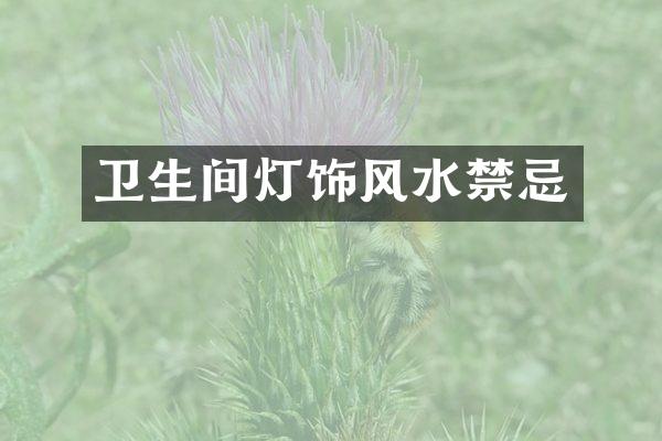 卫生间灯饰风水禁忌