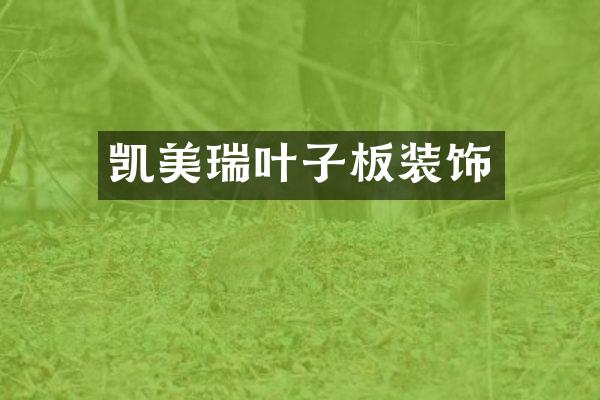 凯美瑞叶子板装饰
