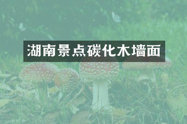 湖南景点碳化木墙面