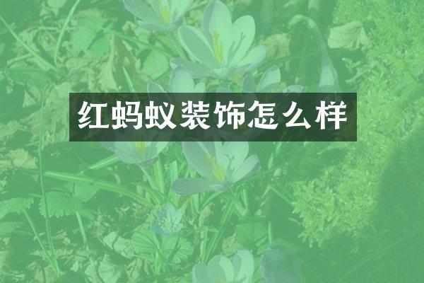 红蚂蚁装饰怎么样