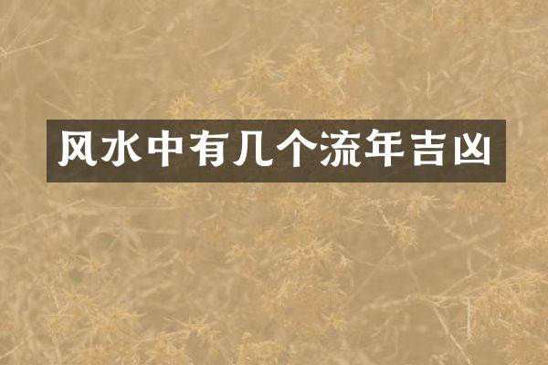 风水中有几个流年吉凶