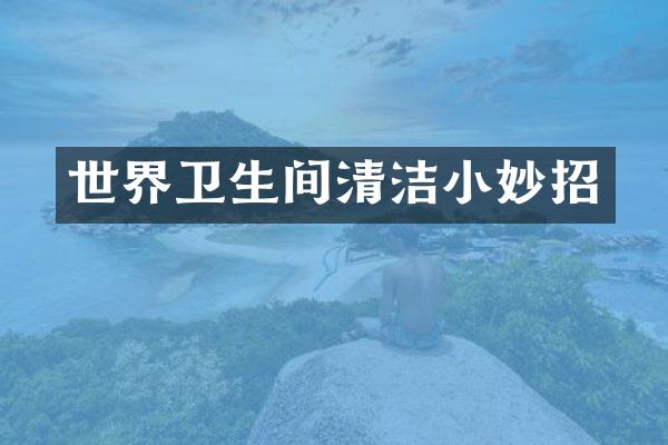 世界卫生间清洁小妙招